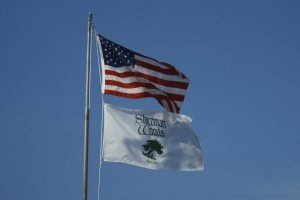 flags